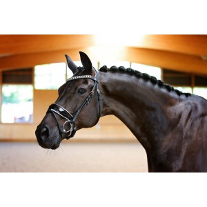 Black & White Rolled Leather Bridle