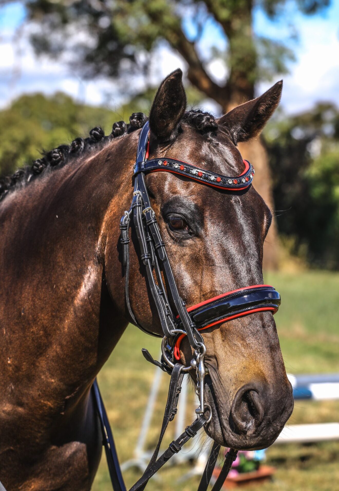 Duke Double Bridle – Belle Equestrian | Leather Bridles | Dog Collars ...