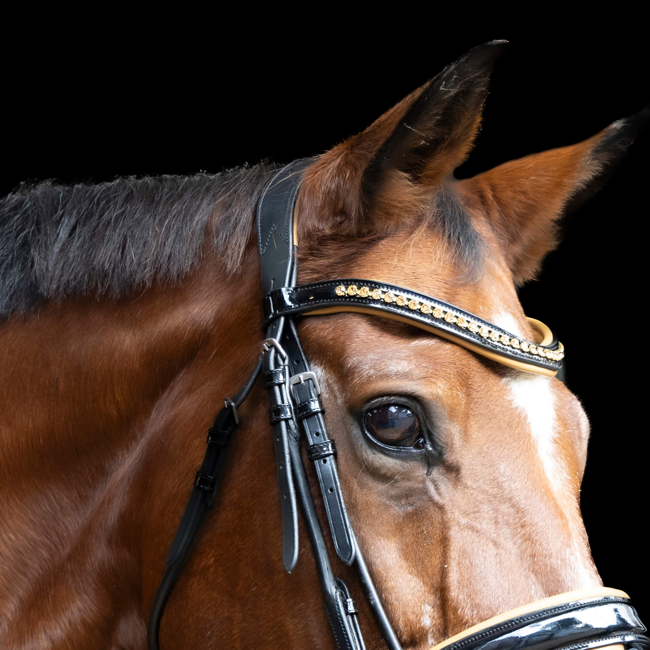 Lofty Double Bridle – Belle Equestrian | Leather Bridles | Dog Collars ...