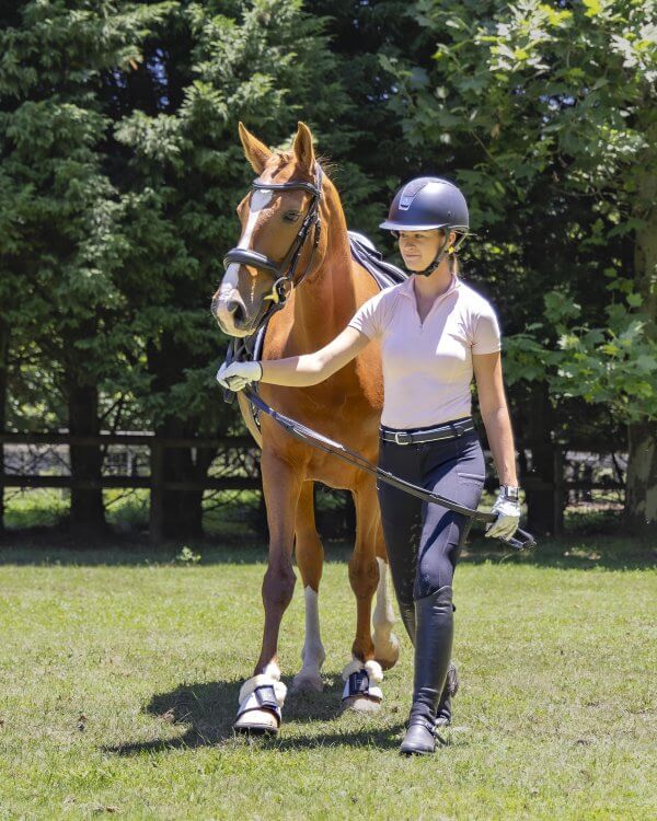 Duchess leather belt and black prince snaffle bridle