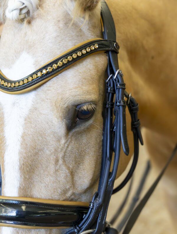 Black patent double wemouth bridle with tan trim