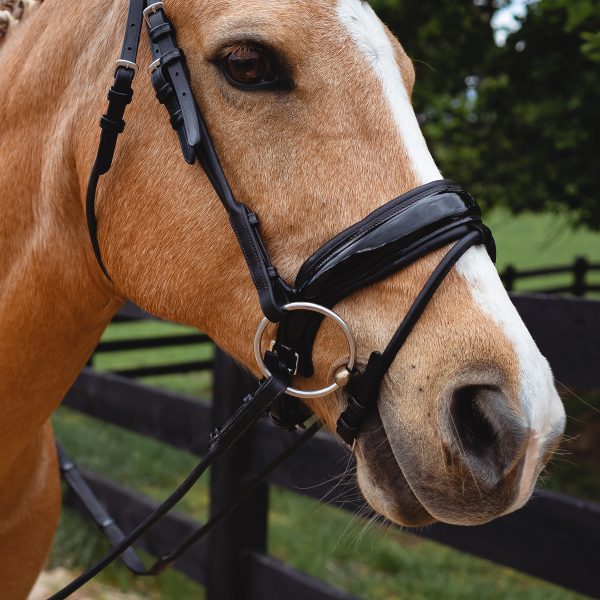Naked snaffle patent bridle