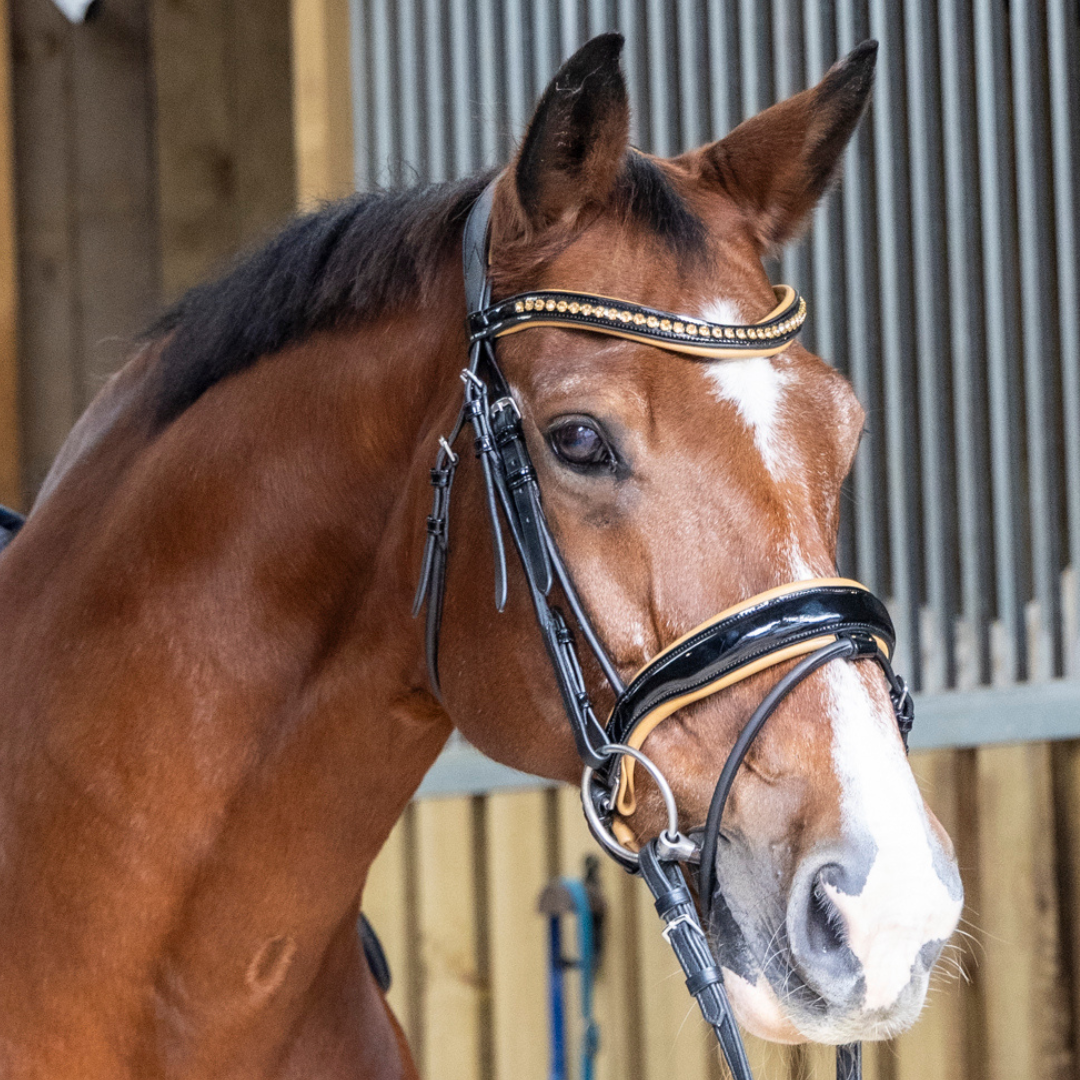 Black patent padded cavesson noseband with tan trim – Belle Equestrian